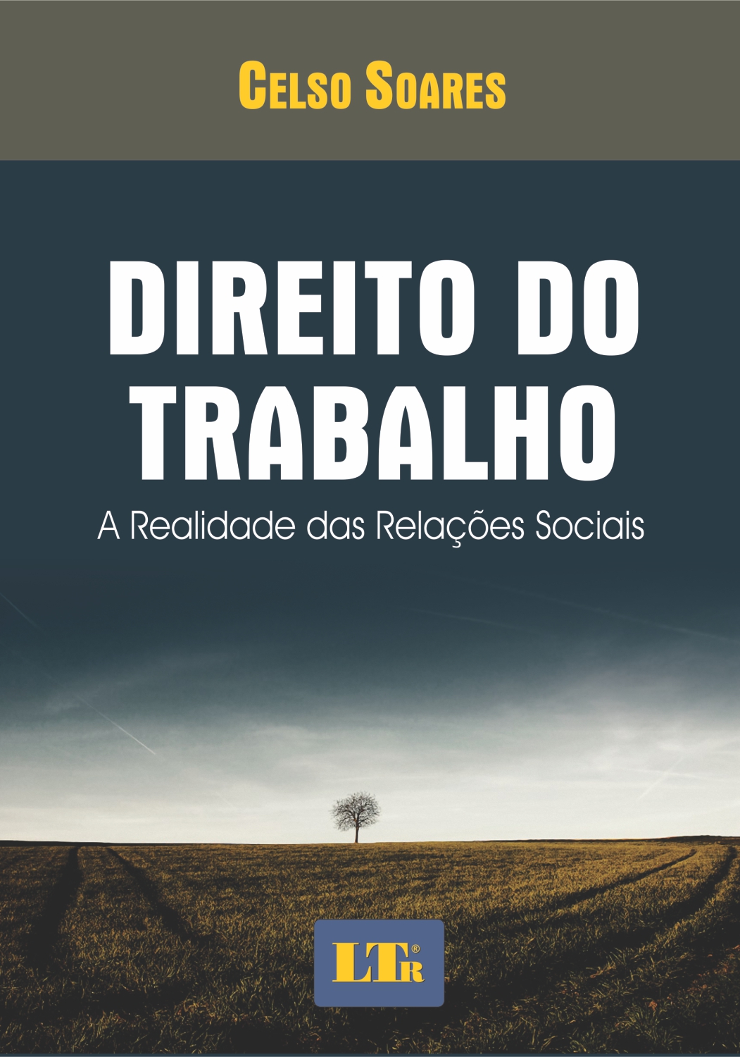 DIREITO DO TRABALHO - A REALIDADE DAS RELACOES SOCIAIS